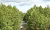 ЗОЛ «Солнечный»