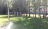 ЗОЛ «Северянка»